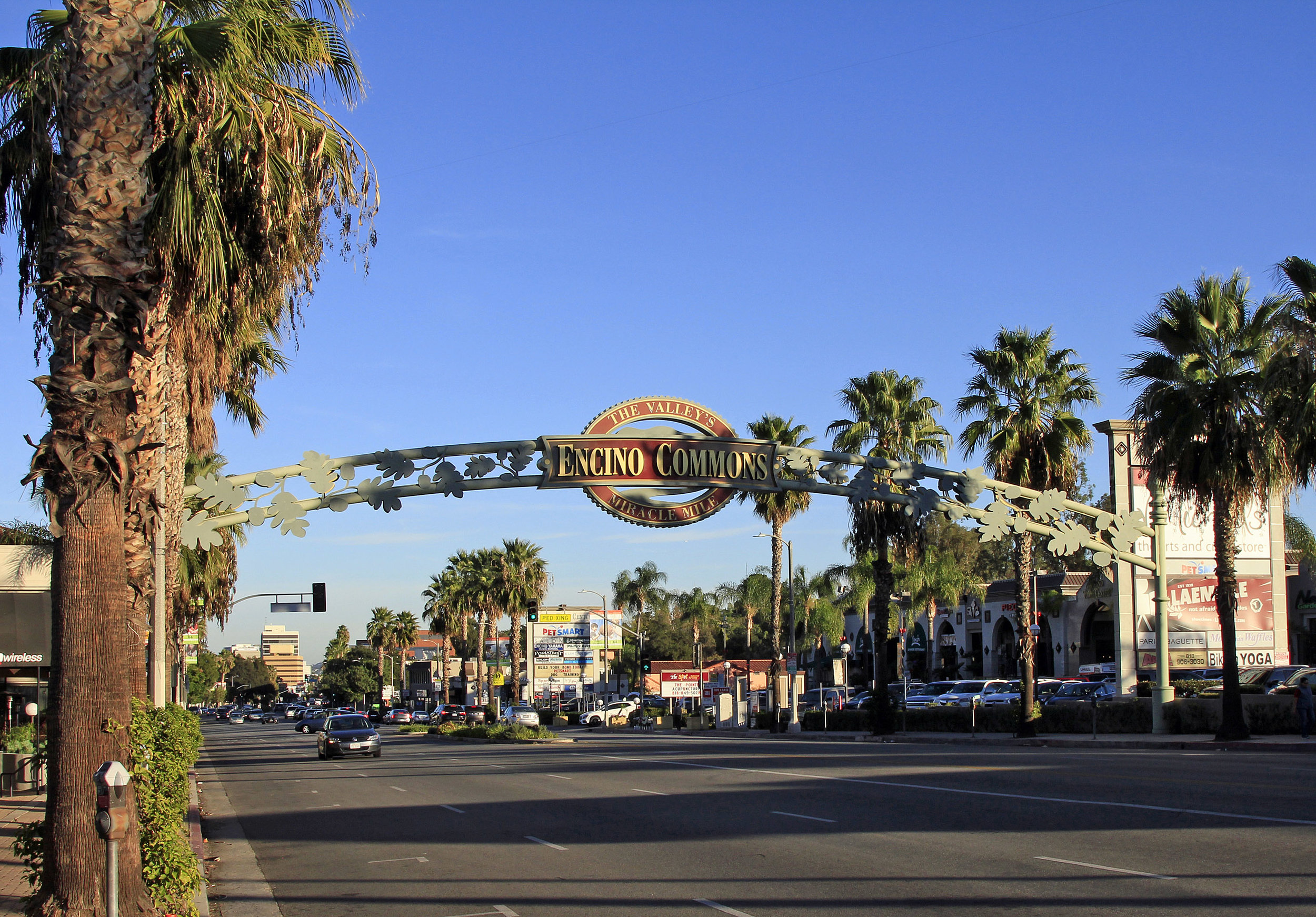 ventura blvd Encino Commons